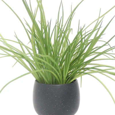 Gambar Forhom Tanaman Artifisial Spring Grass Dengan Pot Keramik - Hitam