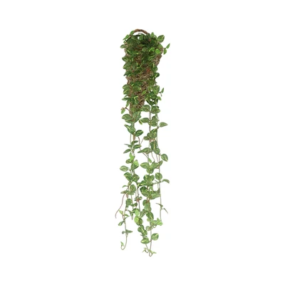 Gambar Forhom Tanaman Artifisial Devils Vine Dengan Pot Keranjang Gantung 12.7x12.7x63.5 cm - Hijau