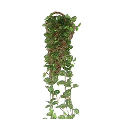 Gambar Forhom Tanaman Artifisial Devils Vine Dengan Pot Keranjang Gantung 12.7x12.7x63.5 cm - Hijau
