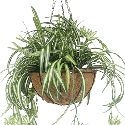 Gambar Forhom Tanaman Artifisial Spider Dengan Pot Keranjang Gantung 27.9x27.9x76.2 cm - Hijau