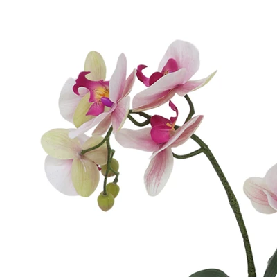 Gambar Forhom Bunga Artifisial Orchid 2 Tangkai Dengan Pot 27.9x11.4x40.6 cm - Pink
