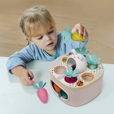 Gambar Top Bright Match And Sort Carrots