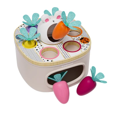 Gambar Top Bright Match And Sort Carrots