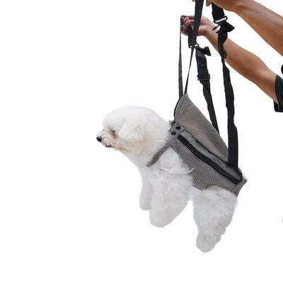 Gambar Pet Kingdom Ukuran Xs Tas Ransel Hewan Random