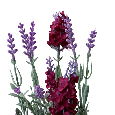 Gambar Informa Bunga Artifial Lavender Dengan Pot 12x12x27 cm - Merah/Ungu