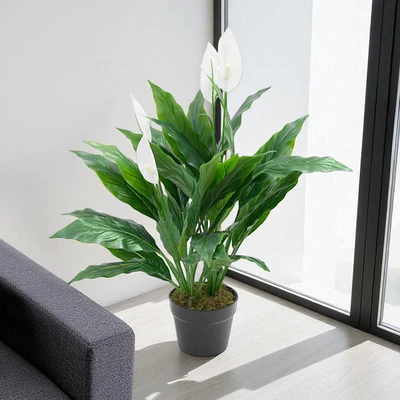 Jual Informa 75 Cm Tanaman Artifisial Peace Lily Dengan Pot Hijau Terbaru |  Ruparupa