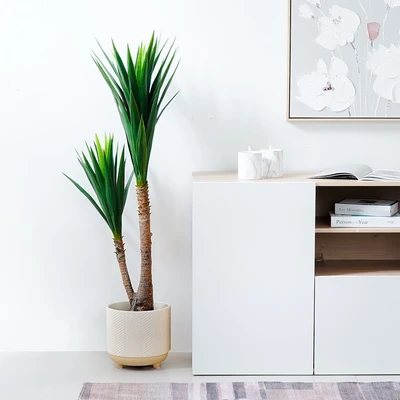 Gambar Informa 24.5x24.5x24 cm Pot Tanaman Wood - Putih