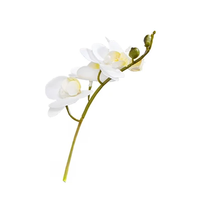 Gambar Informa Bunga Artifisial Orchid Dengan Pot 8.2x8.2x22.5 cm - Putih