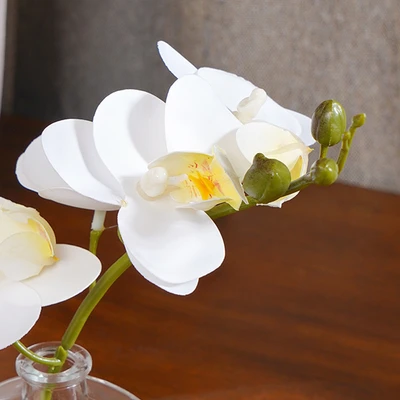 Gambar Informa Bunga Artifisial Orchid Dengan Pot 8.2x8.2x22.5 cm - Putih