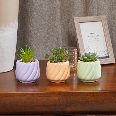 Gambar Informa Tanaman Artifisial Succulent Dengan Pot 7.5x7.5x10 cm Set 3 Pcs - Mix