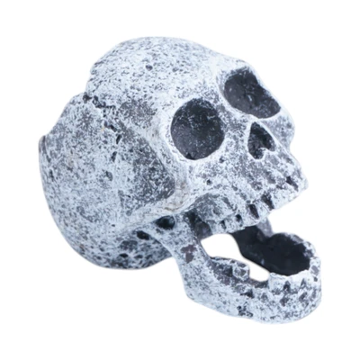 Gambar Fishland Dekorasi Akuarium Polyresin Skull 5.5 cm - Abu-Abu