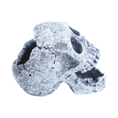 Gambar Fishland Dekorasi Akuarium Polyresin Skull 5.5 cm - Abu-Abu
