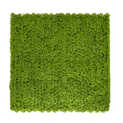 Gambar Forhom Rumput Artifisial Dinding Moss 50x50 cm - Hijau