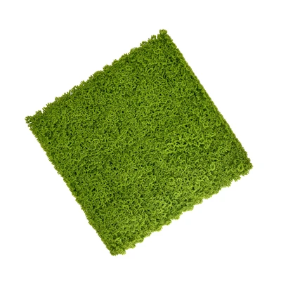 Gambar Forhom Rumput Artifisial Dinding Moss 50x50 cm - Hijau