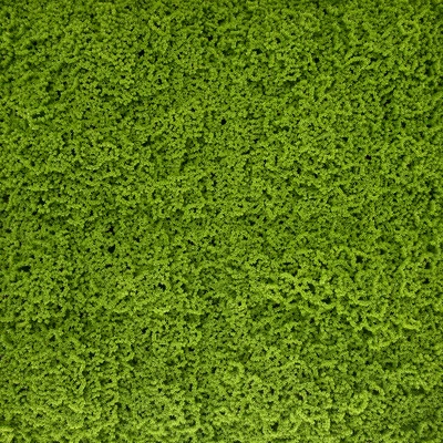 Gambar Forhom Rumput Artifisial Dinding Moss 50x50 cm - Hijau