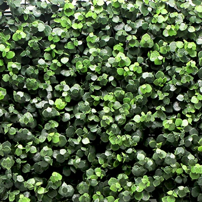 Gambar Forhom Rumput Artifisial Dinding Eucalyptus 50x50 cm - Hijau