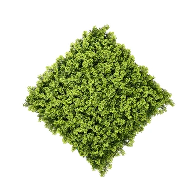 Gambar Forhom Rumput Artifisial Dinding Houttuynia Cordata 50x50 cm - Hijau