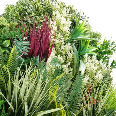 Gambar Forhom Rumput Artifisial Dinding Gaea Dengan Frame 80x80 cm - Mix
