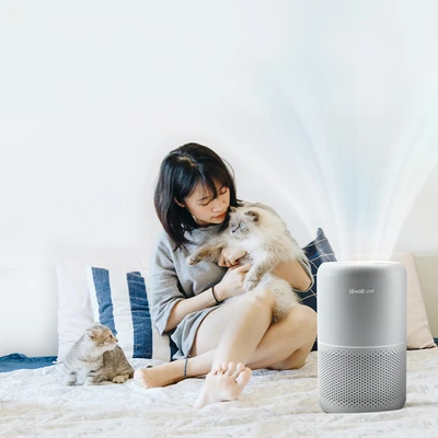 Gambar Levoit Air Purifier Core 40 m2 P-350