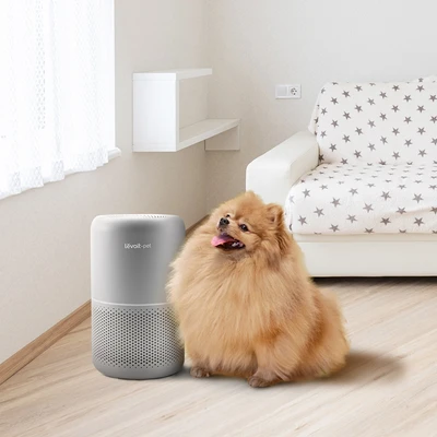 Gambar Levoit Air Purifier Core 40 m2 P-350