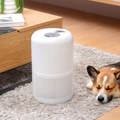 Gambar Levoit Air Purifier Core 40 m2 P-350