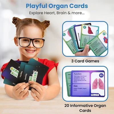 Gambar Smartivity Human Body - Mix