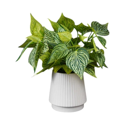 Gambar Arthome Tanaman Artifisial Aureum Dengan Pot 12.3x12.3x35 cm - Krem