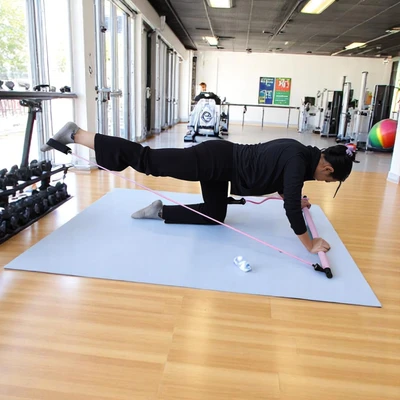 Gambar Alph Pilates Bar - Pink