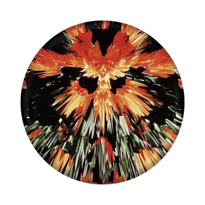 Gambar Waboba Wingman Pro Flying Disc Random