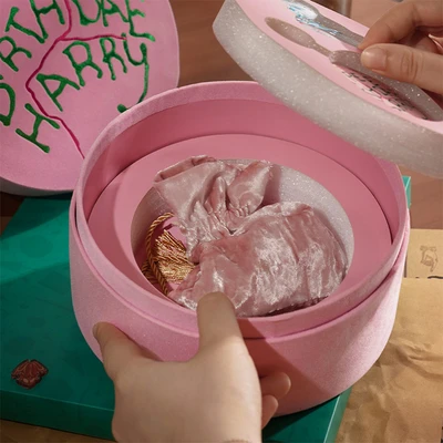 Gambar Toi Set Harry Potter Puzzle Hagrid Cake 23108 - Pink