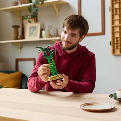 Gambar LEGO Set 325 Pcs Botanicals Lucky Bamboo - Hijau