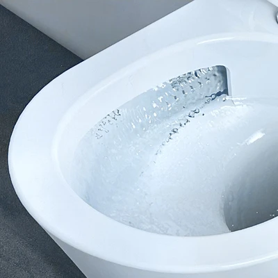 Gambar Acroz Kloset Duduk Tornado Monoblock Washdown A8879 - Putih