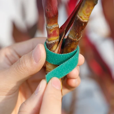 Gambar Maxbuilt Strap Pengikat Tanaman 5 Meter x 1.2 cm - Hijau