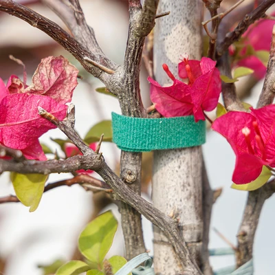 Gambar Maxbuilt Strap Pengikat Tanaman 5 Meter x 1.2 cm - Hijau