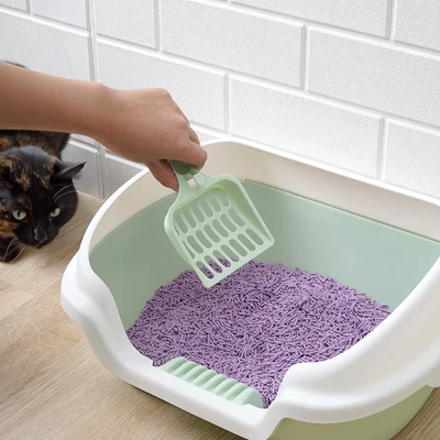Gambar Paws N Tail 40x30x18 cm Toilet Kucing - Hijau