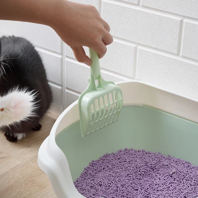 Gambar Paws N Tail 40x30x18 cm Toilet Kucing - Hijau