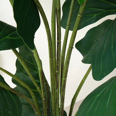 Gambar Informa Tanaman Artifisial Big Taro Dengan Pot 90x90x145 cm - Hijau