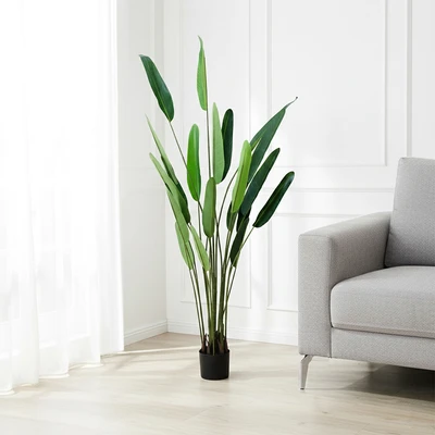 Gambar Informa Tanaman Artifisial Strelitzia Dengan Pot 80x80x170 cm - Hijau