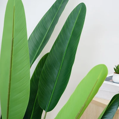 Gambar Informa Tanaman Artifisial Strelitzia Dengan Pot 80x80x170 cm - Hijau