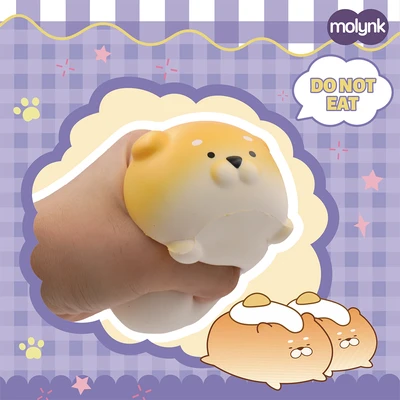 Gambar Molynk Squeeze Duowang Dog Random