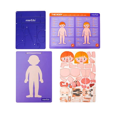 Gambar Mieredu Magnetic Pad Human Anatomy Set 44 Pcs - Ungu