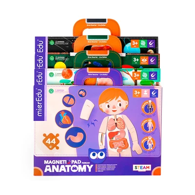 Gambar Mieredu Magnetic Pad Human Anatomy Set 44 Pcs - Ungu