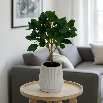 Gambar Forhom Tanaman Artifisial Fig Dengan Pot 12.3x12.3x35 cm - Hijau