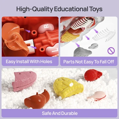 Gambar Science Can Set My Body Voice Pedia Transparan