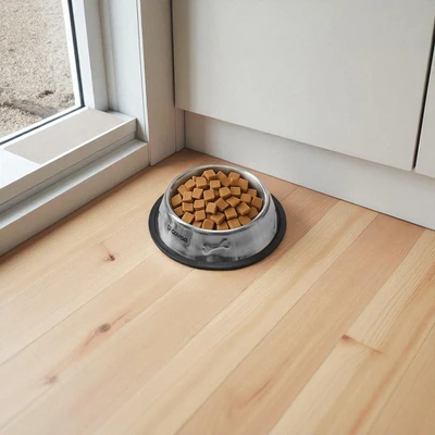 Gambar Cavea Ukuran S Tempat Makan Hewan Stainless Steel - Silver
