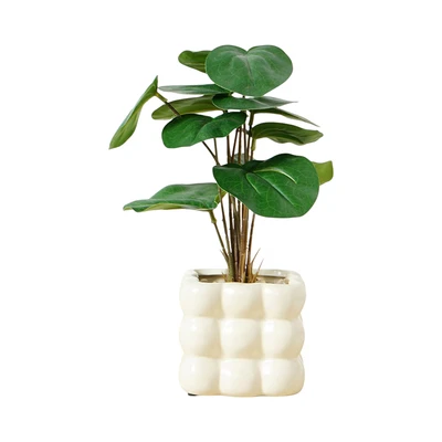 Gambar Informa Tanaman Artifisial Pilea Dengan Pot 9x9x25 cm - Hijau