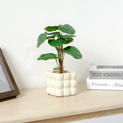 Gambar Informa Tanaman Artifisial Pilea Dengan Pot 9x9x25 cm - Hijau