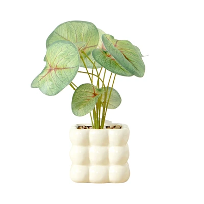 Gambar Informa Bunga Artifisial Fairy Taro Dengan Pot 9x9x25 cm - Hijau