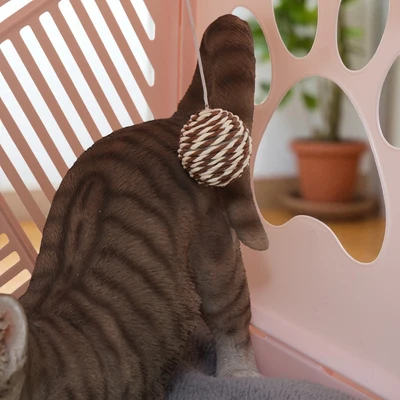 Gambar Cavea Rumah Kucing Plastik - Pink