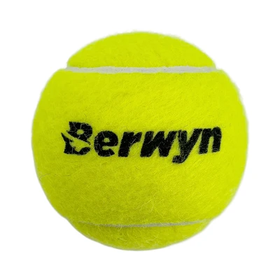 Jual Berwyn Set Pcs Bola Padel Match Kuning Terbaru Ruparupa